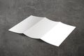 Trifold brochure blank mockup on concrete texture background