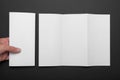 Trifold brochure mockup, blank DL flyer fold Royalty Free Stock Photo