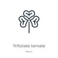 Trifoliate ternate icon. Thin linear trifoliate ternate outline icon isolated on white background from nature collection. Line