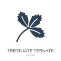 trifoliate ternate icon in trendy design style. trifoliate ternate icon isolated on white background. trifoliate ternate vector