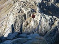 Trift, Switzerland - October 18th 2022: Spectacular rope bridge Triftbruecke crossing a canyon Royalty Free Stock Photo