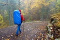 TRIGLAV NATIONAL PARK, SLOVENIA - OCTOBER 17, 2021: Young woman with blue backpack on a path in a misty forest.