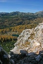 Triglav autumn larches Dolina Triglavskih Jezer Royalty Free Stock Photo