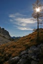 Triglav autumn larches Dolina Triglavskih Jezer Royalty Free Stock Photo