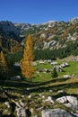 Triglav NP autumn larches and wooden houses