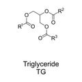 Triglyceride, also triacylglycerol or triacylglyceride chemical structure Royalty Free Stock Photo