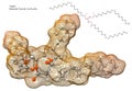 Triglyceride molecule Royalty Free Stock Photo