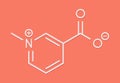 Trigonelline molecule. Metabolite of niacin vitamin B3 but also found in a number of plants, including fenugreek. Skeletal.