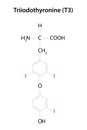 Thyroid hormone: Triiodothyronine (T3). Chemical formula. Royalty Free Stock Photo