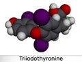 Triiodothyronine, T3, liothyronine molecule. It is thyroid hormone, pituitary gland hormone. Molecular model. 3D rendering Royalty Free Stock Photo