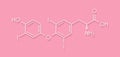 Triiodothyronine (T3, liothyronine) thyroid hormone molecule. Pituitary gland hormone. Also used as drug to treat hypothyroidism.