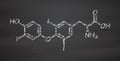 Triiodothyronine (T3, liothyronine) thyroid hormone molecule. Pituitary gland hormone. Also used as drug to treat hypothyroidism