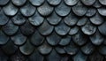 triking design featuring fish scales in various sizes and shapes creating mesmerizing texture that resembles futuristic