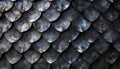 triking design featuring fish scales in various sizes and shapes creating mesmerizing texture that resembles futuristic