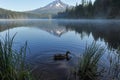 Trillium Lake early morning with Mount Hood, Oregon, USA Royalty Free Stock Photo
