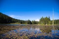 Trillium picturesque lake with water lilies and snowy mountain Royalty Free Stock Photo