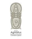 Trilobite Agnostus