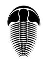 Trilobite silhouette