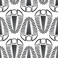 Trilobite vector seamless pattern background. Hand drawn arthropod ribbed shell marine fossils. Monochrome black white