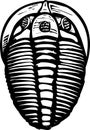 Trilobite Royalty Free Stock Photo