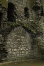 Trim Castle, Trim, Co Meath, Ireland, 29.01.18