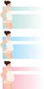 Trimesters of pregnancy