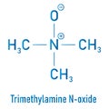 Trimethylamine N-oxide or TMAO molecule. Skeletal formula