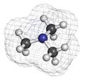 Trimethylamine volatile tertiary amine molecule. Important component of the smell of rotting fish. Royalty Free Stock Photo