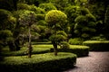 trimmed bushes and trees in the park Royalty Free Stock Photo