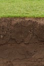 Trimmed Grass over exposed soil Royalty Free Stock Photo