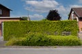 A trimmed green natural hedge with a wooden fence near a private home.