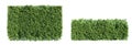 Trimmed hedge isolated on white background. Realistic 3D render. Royalty Free Stock Photo