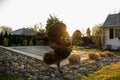 A Trimmed Tree in a Suburban Backyard Royalty Free Stock Photo