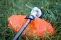 Trimmer close up mow grass with lawnmower. Royalty Free Stock Photo