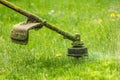 Trimmer head cutting grass to small pieces Royalty Free Stock Photo