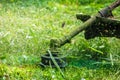 Trimmer head cutting grass to small pieces Royalty Free Stock Photo