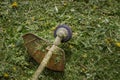 A trimmer or lawn mower lies on freshly cut grass after work Royalty Free Stock Photo
