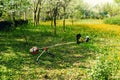 Trimmer is lying on an uncut lawn. Pruning dandelions and other weeds in the yard. an overgrown backyard clearing with a Royalty Free Stock Photo