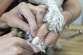 Trimming dog claws in pet grooming salon. Royalty Free Stock Photo