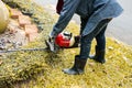 Trimming hedge with trimmer machine Royalty Free Stock Photo