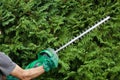 Trimming a hedge Royalty Free Stock Photo