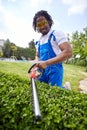 Trimming the Path: A Man's Effortless Mastery of Shaping a Living Hedge