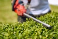 Trimming Perfection: Close-up View of Hedge Trimmer in Action