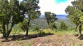 A Trinidad Colorado Mountaintop View