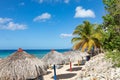 Trinidad, Cuba. Coconut on an exotic beach with palm tree entering the sea on the background of a sandy beach, azure water, and