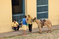 Trinidad, Cuba -Genre sketch with a donkey.