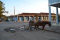 Street scene in Trinidad, Cuba, with horse carriage, stray dogs and people