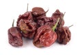 Trinidad moruga scorpion chocolate peppers Royalty Free Stock Photo