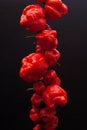 Trinidad moruga scorpion peppers Royalty Free Stock Photo