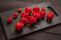 Trinidad moruga scorpion peppers Royalty Free Stock Photo